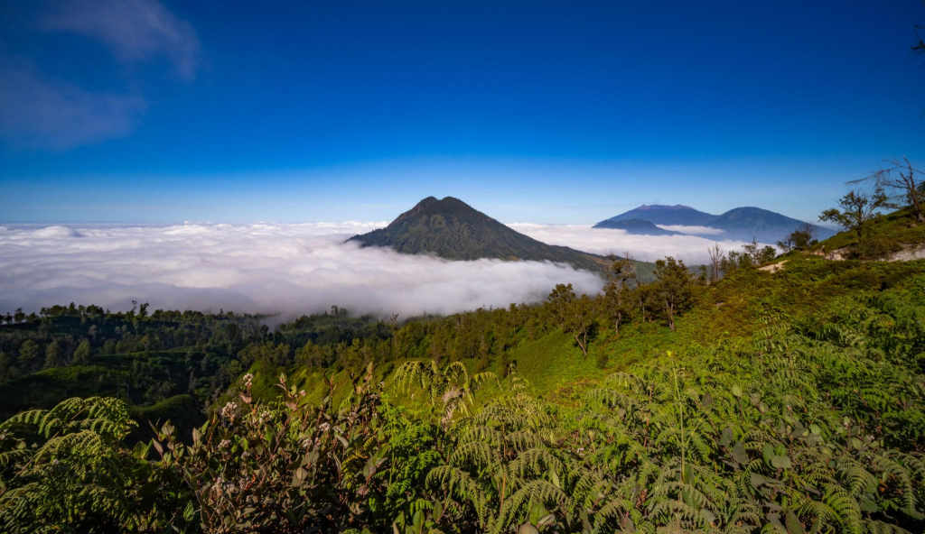 Quietcation 2026, 5 Destinasi Sunyi yang Wajib Dicoba untuk Recharge Diri