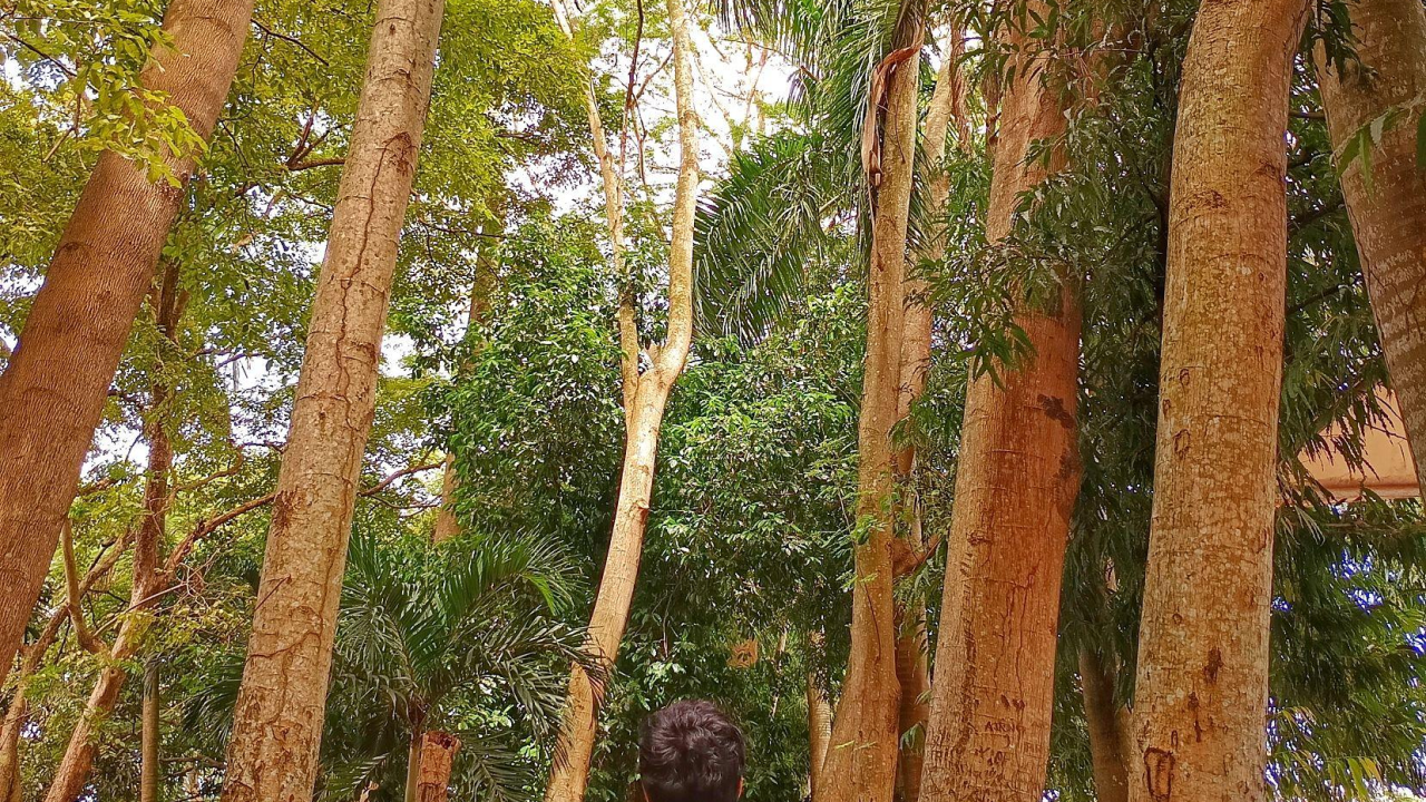 Quietcation 2026, 5 Destinasi Sunyi yang Wajib Dicoba untuk Recharge Diri