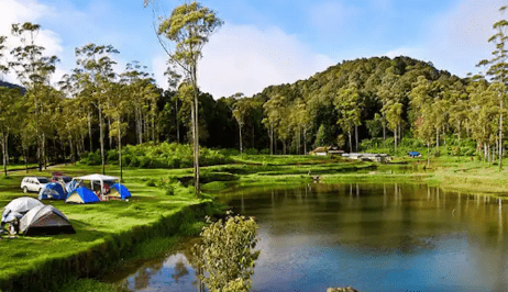 Camping ke Ranca Upas, Seru di Tengah Alam yang Bikin Kepala Auto Adem